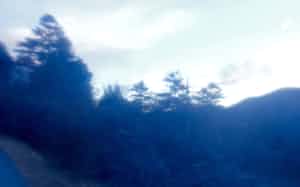 王秉蒼 写真 王秉蒼 写真