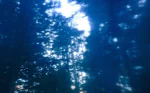 王秉蒼 写真 王秉蒼 写真