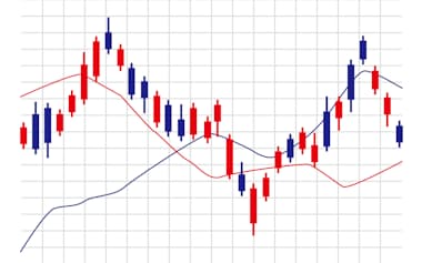 写真はイメージ=PIXTA