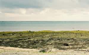 王秉蒼 写真 王秉蒼 写真