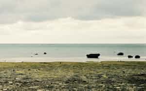 王秉蒼 写真 王秉蒼 写真