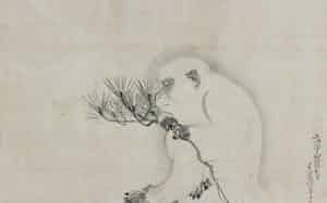 呉春「白猿図」 呉春「白猿図」