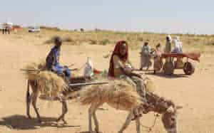 ファシェルから逃れた人々(29日、スーダン西部)=AP ファシェルから逃れた人々(29日、スーダン西部)=AP