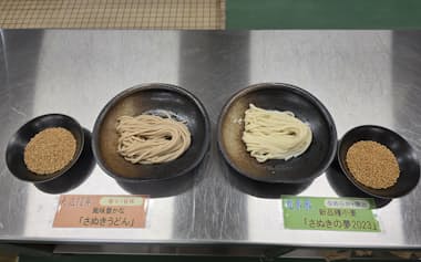 新品種小麦「さぬきの夢2023」で打ったうどん㊨と、大正時代のうどん
