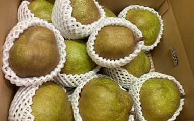 西洋ナシは卸値が前年比18%高いが、果実の糖度は増した(東京・大田)