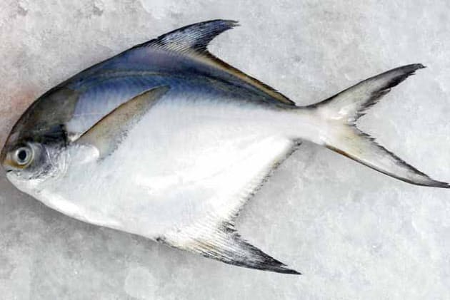 造り 日本の料理人は生涯誰も魚の修業を極められない Nikkei Style 造り 日本の料理人は生涯誰も魚の修業を極められない Nikkei Style