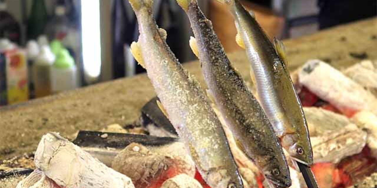 焼物 塩 串 炭 それぞれに意味があり美味もたらす Nikkei Style 焼物 塩 串 炭 それぞれに意味があり美味もたらす Nikkei Style