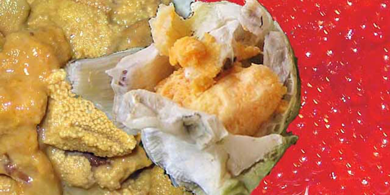 海の岩場のフジツボ 実は美味 青森 七子八珍を食す Nikkei Style 海の岩場のフジツボ 実は美味 青森 七子八珍を食す Nikkei Style