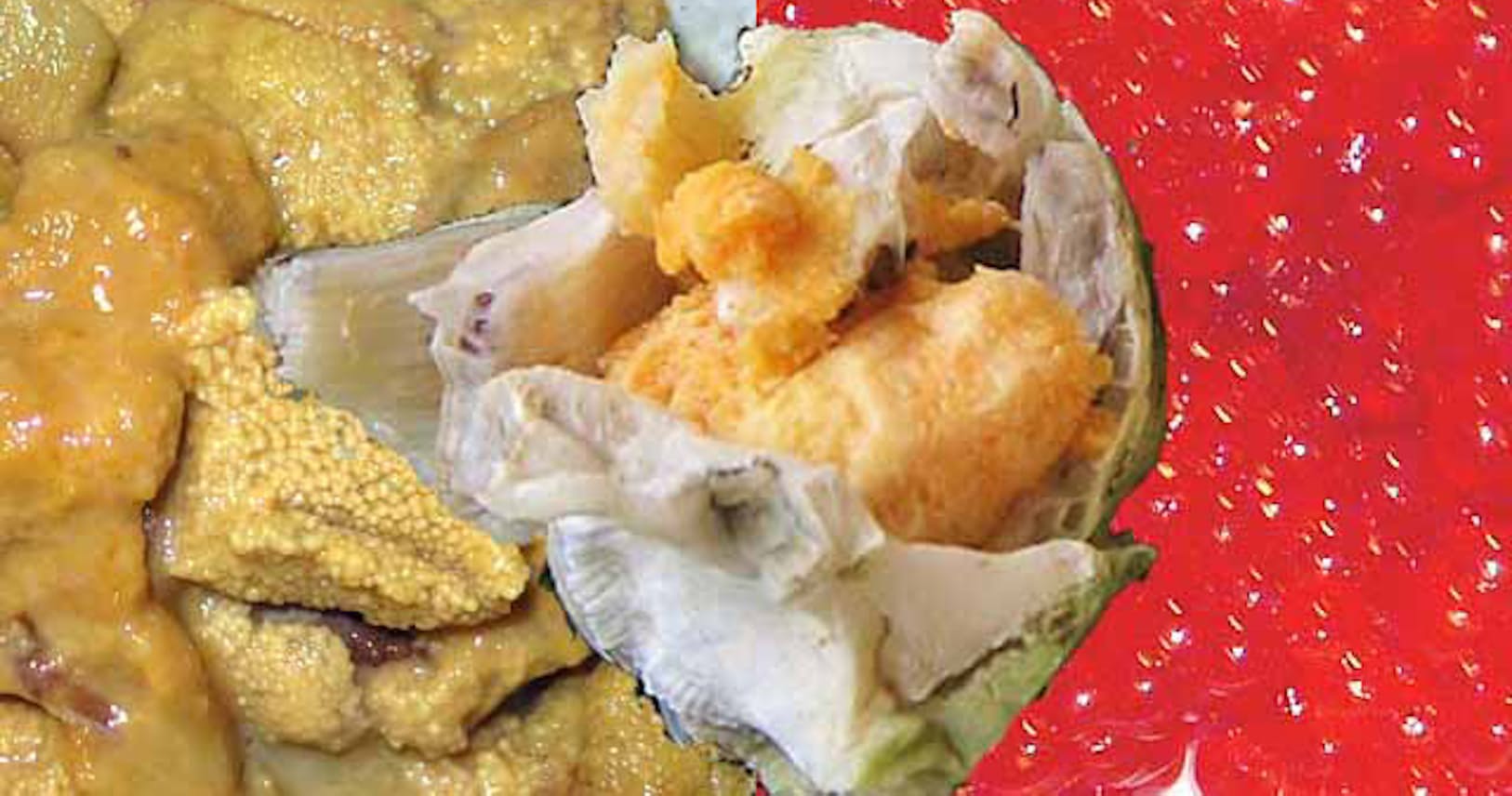 海の岩場のフジツボ 実は美味 青森 七子八珍を食す Nikkei Style 海の岩場のフジツボ 実は美味 青森 七子八珍を食す Nikkei Style