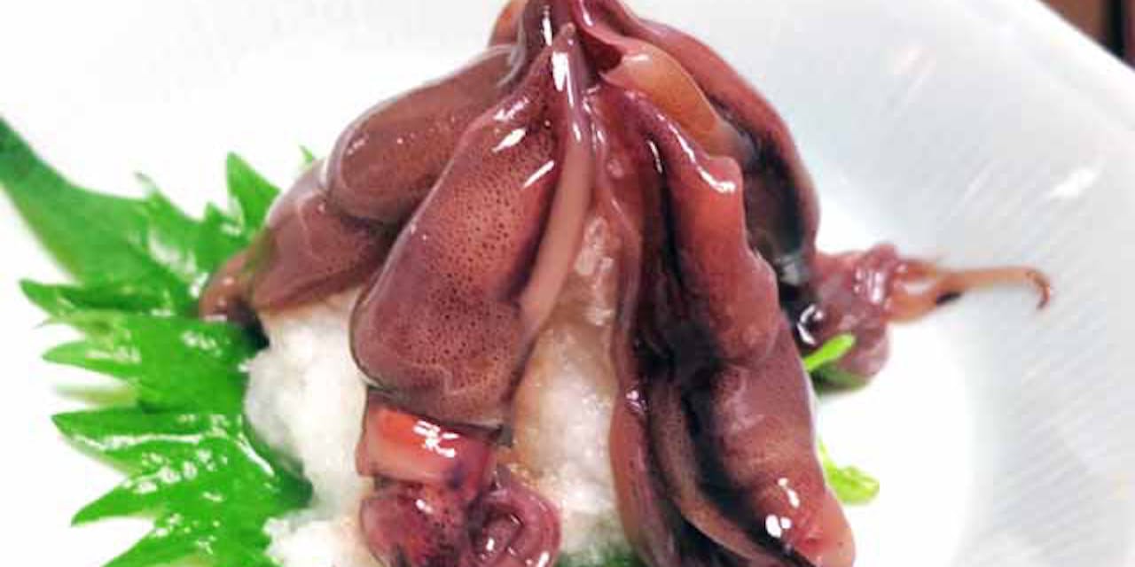 シーズン終盤 今のうちに食べておきたいホタルイカ Nikkei Style シーズン終盤 今のうちに食べておきたいホタルイカ Nikkei Style