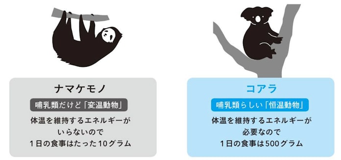 寒さ と 暑さ 人間が弱いのはどっち 日本経済新聞 寒さ と 暑さ 人間が弱いのはどっち 日本経済新聞