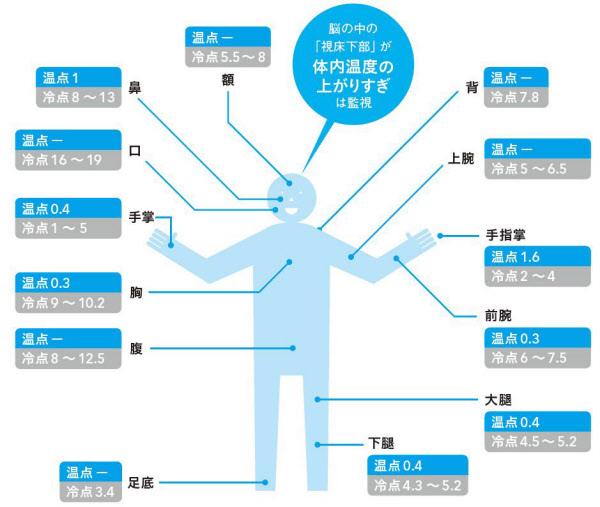 寒さ と 暑さ 人間が弱いのはどっち 日本経済新聞