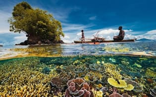 パプアニューギニアのニューブリテン島で、地元の漁師たちが魚を探す。最新の研究によれば、こうした伝統的な漁がサンゴ礁を守っているという。（PHOTOGRAPH BY DAVID DOUBILET, NATIONAL GEOGRAPHIC CREATIVE）