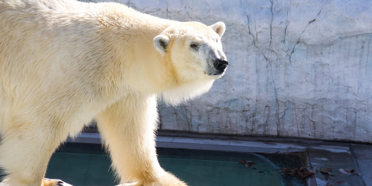地球上に動物は全部で何種類いるの ライフコラム Nikkei Style