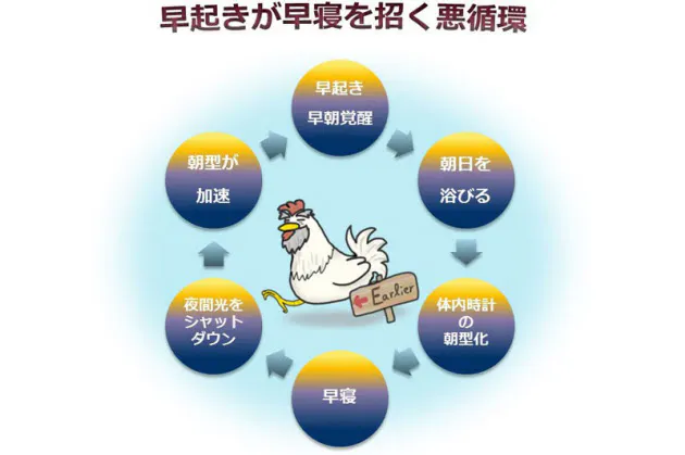 ナゼ 年をとると必要以上に早寝早起きになるのか Nikkei Style ナゼ 年をとると必要以上に早寝早起きになるのか Nikkei Style