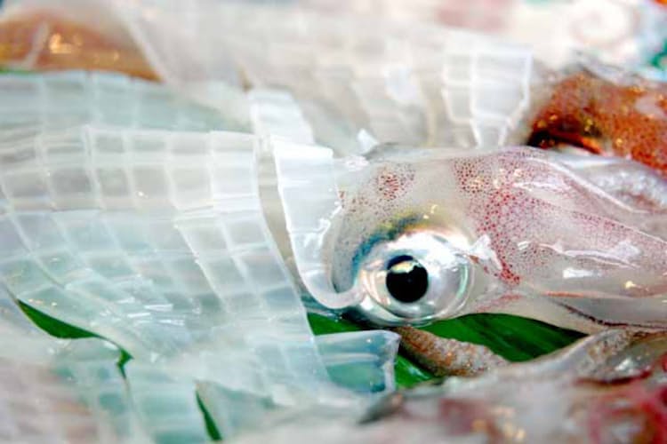 剣先イカ 夏が旬 透き通るコリッコリ シューマイも Nikkei Style 剣先イカ 夏が旬 透き通るコリッコリ シューマイも Nikkei Style