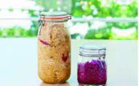 左:基本の「緑のキャベツで作る乳酸キャベツ」、右:抗酸化成分が豊富な「紫の乳酸キャベツ」