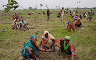 7月11日、インド、イラーハーバードで植樹をするボランティア。1日に5000万本の木を植えるプロジェクトの一環だ。（PHOTOGRAPH BY RAJESH KUMAR SINGH, ASSOCIATED PRESS）