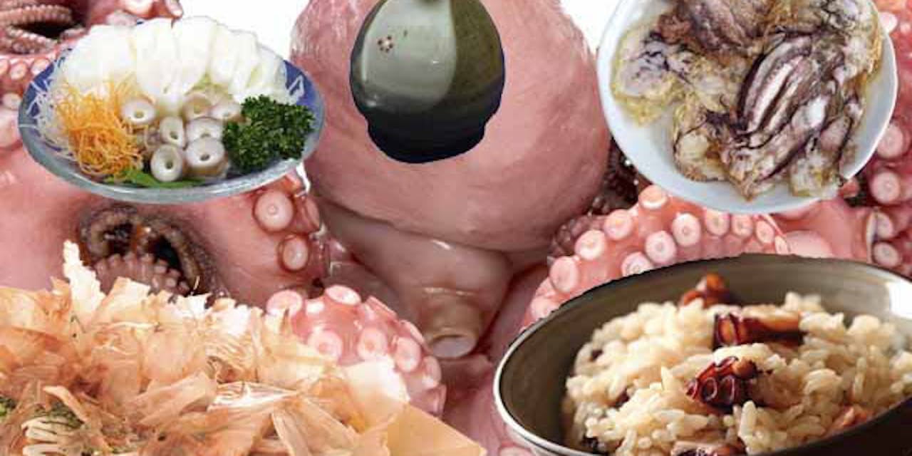 昼にタコめし 小腹すいたらタコ焼き タコ刺しで一献 Nikkei Style 昼にタコめし 小腹すいたらタコ焼き タコ刺しで一献 Nikkei Style