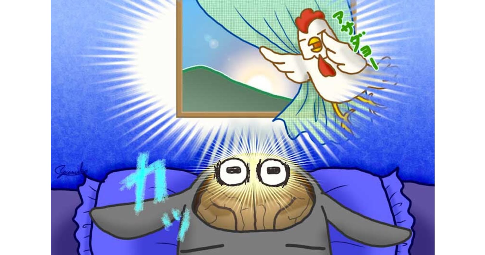 明るい寝室は不眠のもと 暗い朝は寝坊のもと Nikkei Style