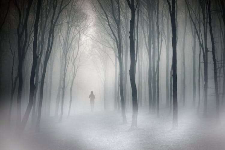 医療費不安は幽霊 医療保険は5000円で十分 Nikkei Style