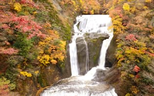 袋田の滝、2015年11月10日撮影。例年11月上旬から中旬が紅葉のタイミングといわれています