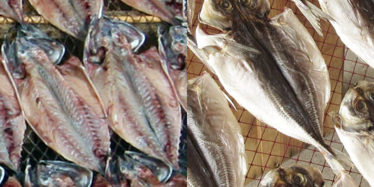 魚の干物 日本人は身が上 中国人は皮が上が好き Nikkei Style 魚の干物 日本人は身が上 中国人は皮が上が好き Nikkei Style