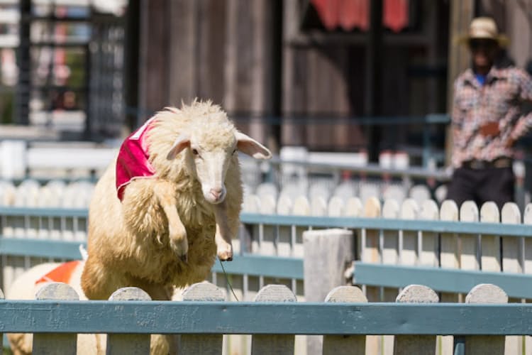 ユーロはレンジ化 豪ドルは上昇基調の見通し Nikkei Style ユーロはレンジ化 豪ドルは上昇基調の見通し Nikkei Style