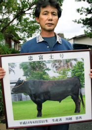 宮崎県 種牛事業再開へ光 8月以降に精液採取か 日本経済新聞