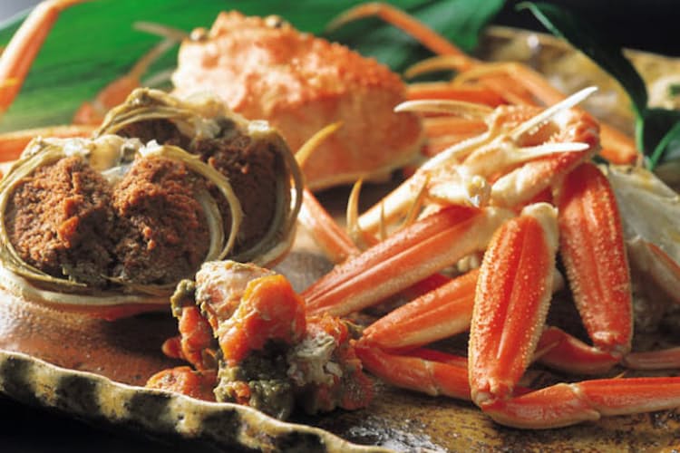 味は絶品 価格は庶民派 香箱ガニ 魅惑の内子とミソ Nikkei Style 味は絶品 価格は庶民派 香箱ガニ 魅惑の内子とミソ Nikkei Style