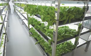 2016年内に生産・販売から撤退する東芝の植物工場（左）。生産した野菜は、2014年11月からスーパーなどで販売していた（上）
