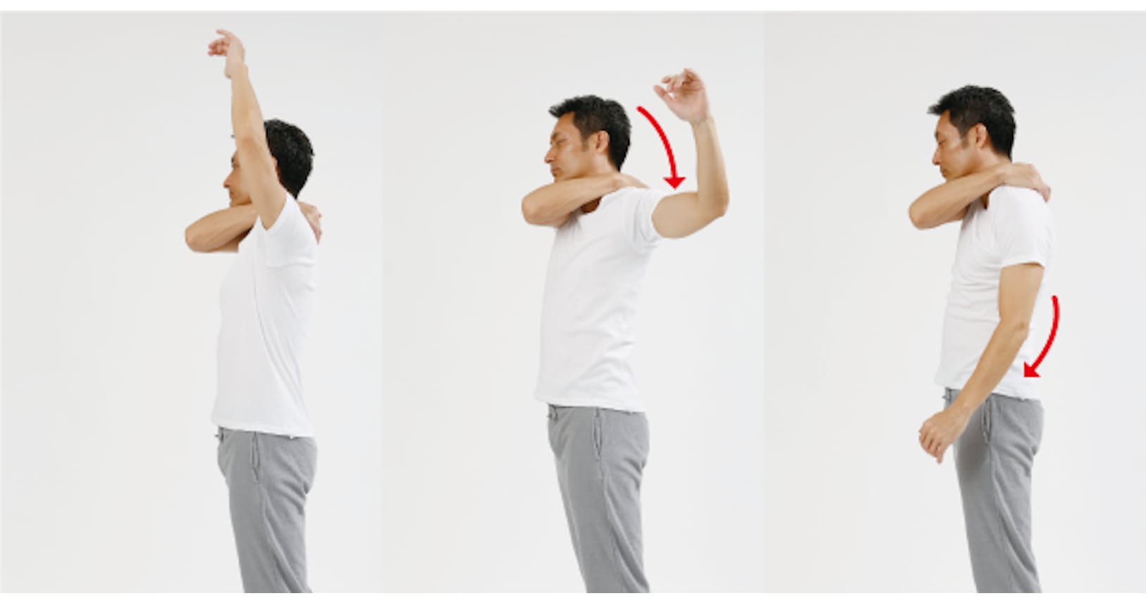 現代型の肩こりは深部にあり 筋膜マッサージで解消 Nikkei Style 現代型の肩こりは深部にあり 筋膜マッサージで解消 Nikkei Style