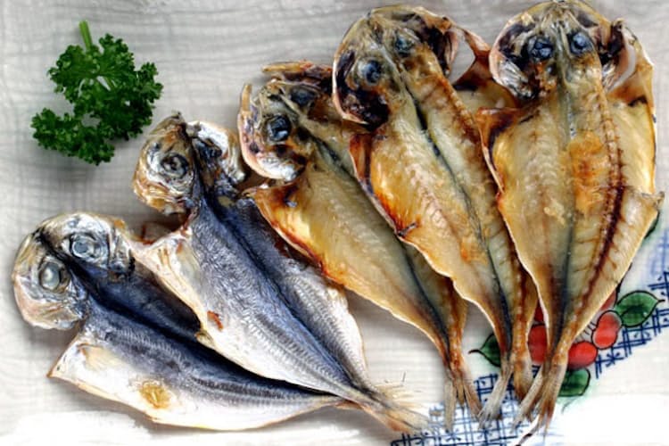 皿の干物 皮が上か身が上か 金目の干物 関東だけ Nikkei Style 皿の干物 皮が上か身が上か 金目の干物 関東だけ Nikkei Style