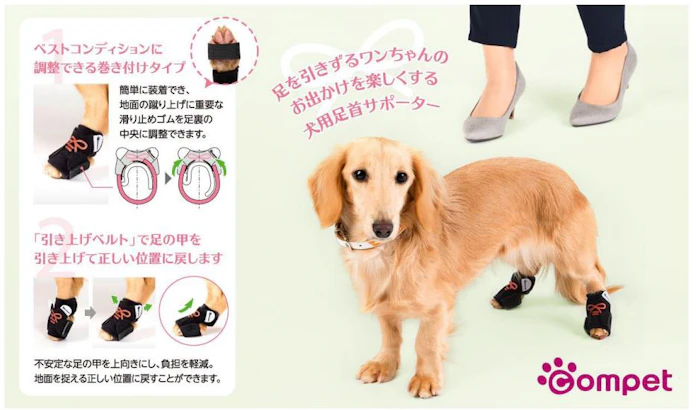 コンビ 足を引きずるワンちゃんのおでかけを楽しくする犬用足首サポーターを発売 日本経済新聞 コンビ 足を引きずるワンちゃんのおでかけを楽しくする犬用足首サポーターを発売 日本経済新聞