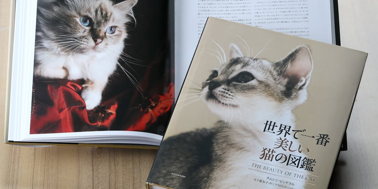 大人もうっとり アートな生物図鑑10選 Nikkei Style 大人もうっとり アートな生物図鑑10選 Nikkei Style