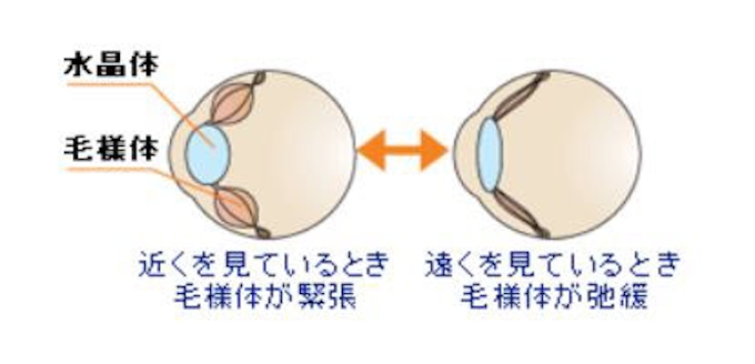 ソースネクスト 目の運動ができるソフト 目がホリデー 2 を発売 日本経済新聞