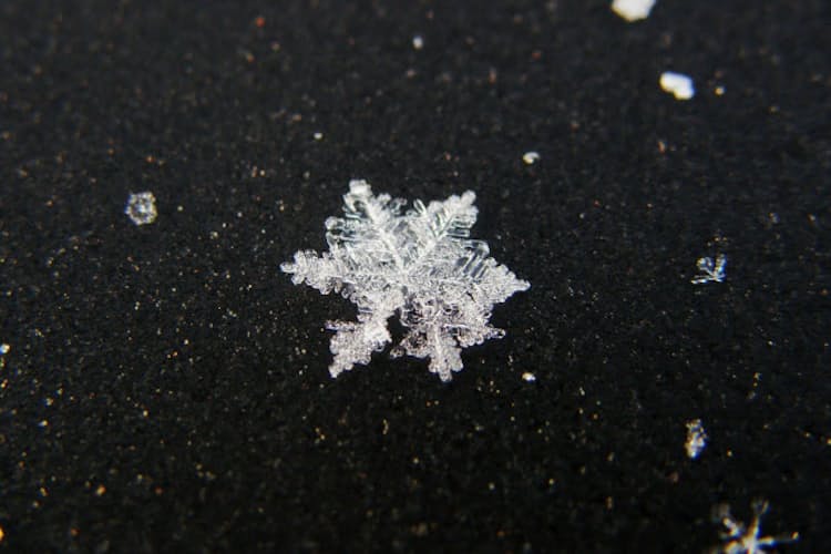 きれいな雪の結晶 どうやって形が決まるの Nikkei Style きれいな雪の結晶 どうやって形が決まるの Nikkei Style