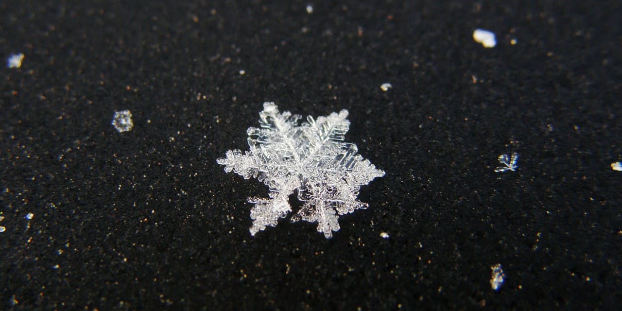 きれいな雪の結晶 どうやって形が決まるの Nikkei Style