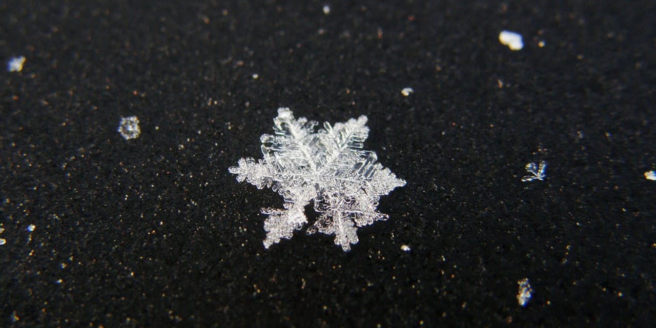 きれいな雪の結晶 どうやって形が決まるの Nikkei Style きれいな雪の結晶 どうやって形が決まるの Nikkei Style