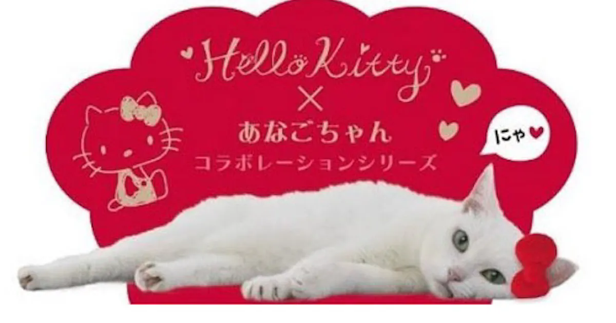 サンリオ 人気タレント猫 あなごちゃん とコラボの Hello Kitty あなごちゃん コラボシリーズを発売 日本経済新聞 サンリオ 人気タレント猫 あなごちゃん とコラボの Hello Kitty あなごちゃん コラボシリーズを発売 日本経済新聞