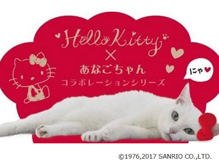 サンリオ 人気タレント猫 あなごちゃん とコラボの Hello Kitty あなごちゃん コラボシリーズを発売 日本経済新聞 サンリオ 人気タレント猫 あなごちゃん とコラボの Hello Kitty あなごちゃん コラボシリーズを発売 日本経済新聞