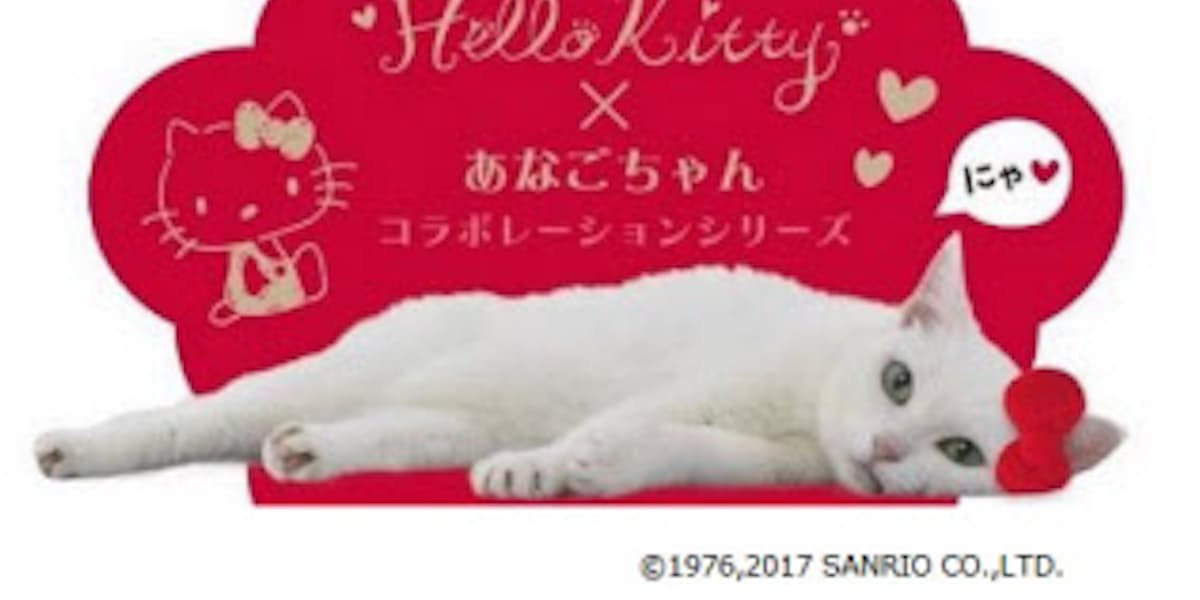 サンリオ 人気タレント猫 あなごちゃん とコラボの Hello Kitty あなごちゃん コラボシリーズを発売 日本経済新聞