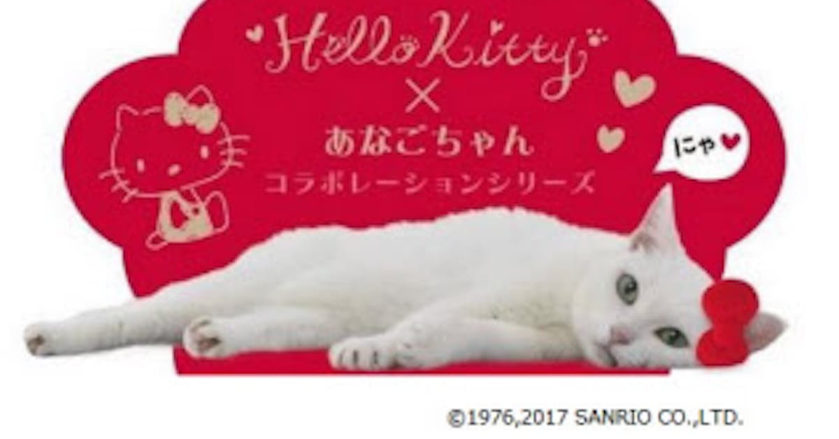 サンリオ 人気タレント猫 あなごちゃん とコラボの Hello Kitty あなごちゃん コラボシリーズを発売 日本経済新聞