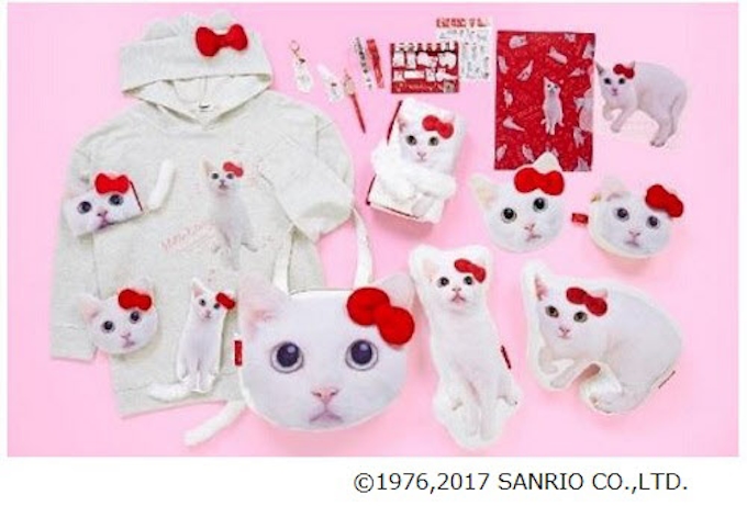 サンリオ 人気タレント猫 あなごちゃん とコラボの Hello Kitty あなごちゃん コラボシリーズを発売 日本経済新聞