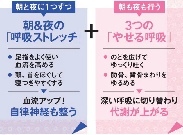 朝晩3分で代謝アップ 呼吸するだけ ダイエット Nikkei Style