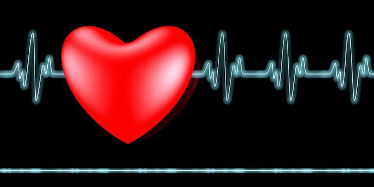 18歳アイドルの 突然死 にみる死因特定の難しさ Nikkei Style