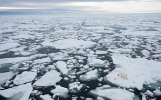 ノルウェーのスバールバル諸島で、みずからが置かれた状況を考えているホッキョクグマ。ここ30年で、北極の氷は厚さ、範囲ともに減り続けている。（PHOTOGRAPH BY RALPH LEE HOPKINS, NATIONAL GEOGRAPHIC CREATIVE）