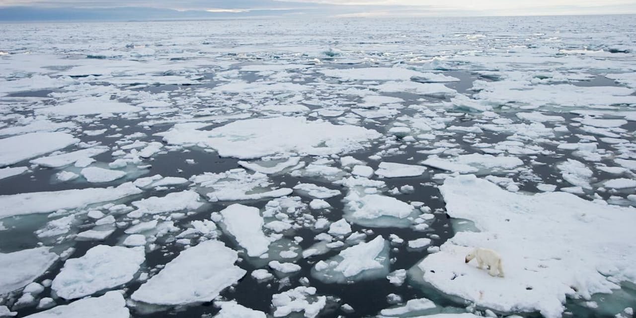北極の氷が消える 16年は未曾有の異常 Nikkei Style 北極の氷が消える 16年は未曾有の異常 Nikkei Style
