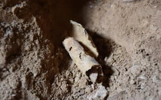 死海の北西岸付近で新たに見つかった洞窟の中から考古学者が発見した2000年前の羊皮紙片。（PHOTOGRAPH BY CASEY L. OLSON AND OREN GUTFELD）