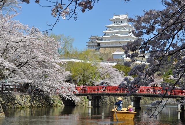 姫路城の内堀を進む観光和船。桜のシーズンは毎日運航される（提供：姫路フィルムビューロー）